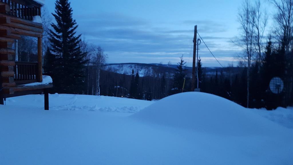 Wildmoon Home Fairbanks Esterno foto