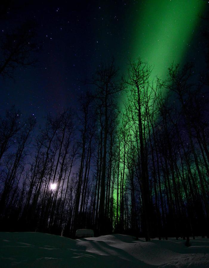 Wildmoon Home Fairbanks Esterno foto