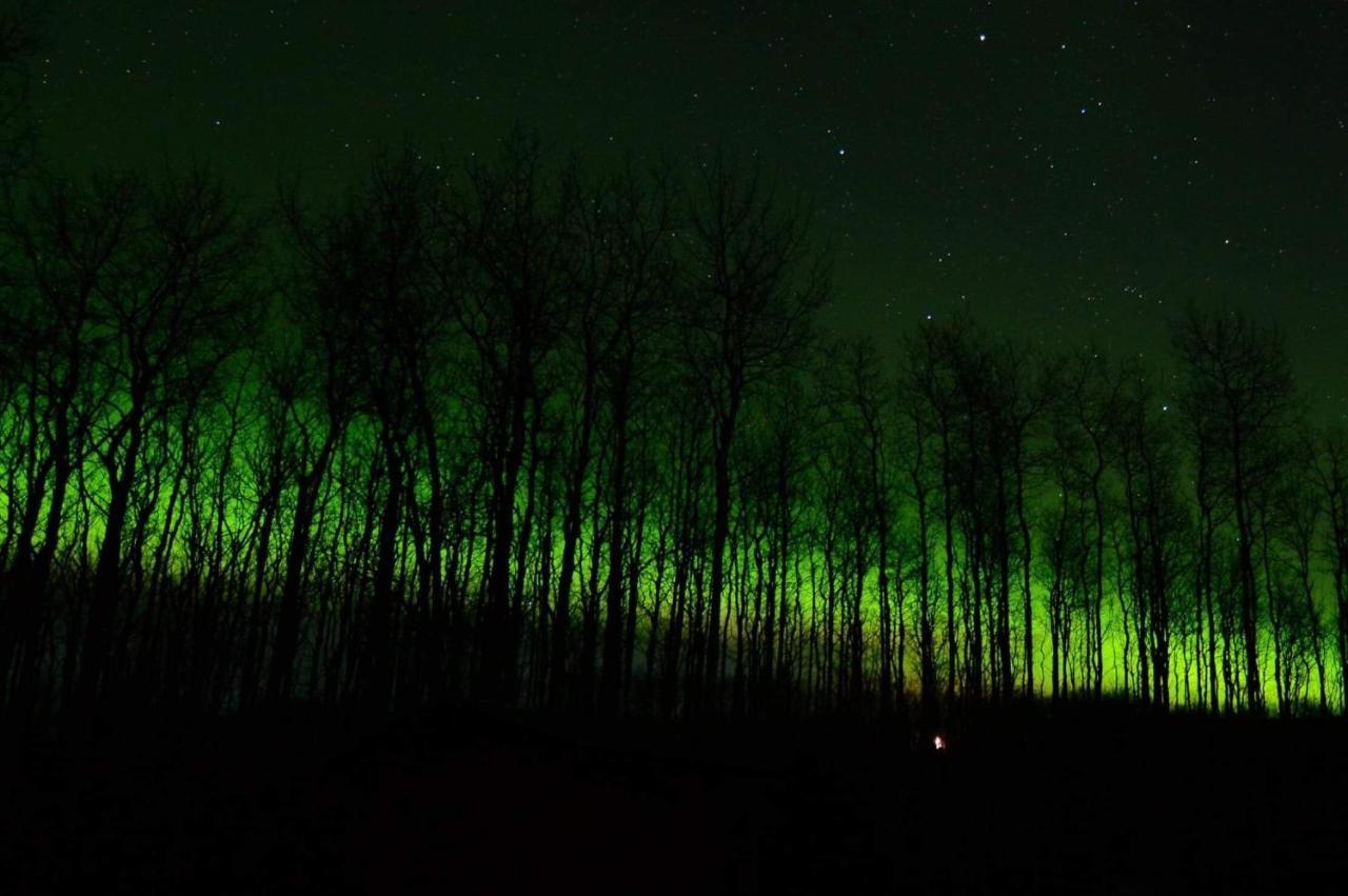 Wildmoon Home Fairbanks Esterno foto